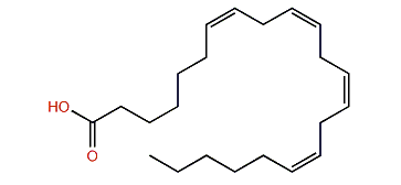 (Z,Z,Z,Z)-7,10,13,16-Docosatetraenoic acid